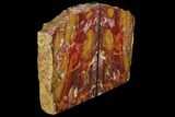 Red/Yellow Jasper Replaced Petrified Wood Bookends - Oregon #111096-1